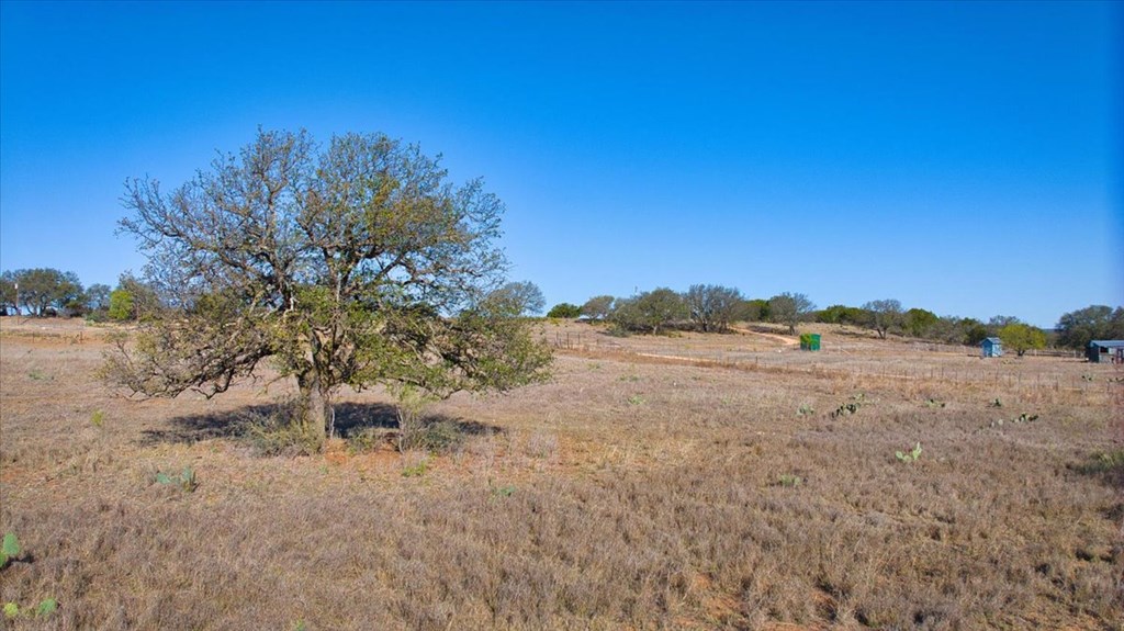 362 Jacoby Lane Hext, TX 76848 - Photo 12 of 36 a view of a dry yard with wooden fence