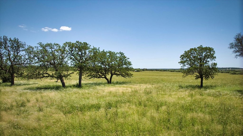 362 Jacoby Lane Hext, TX 76848 - Photo 17 of 36 a view of an outdoor space and yard