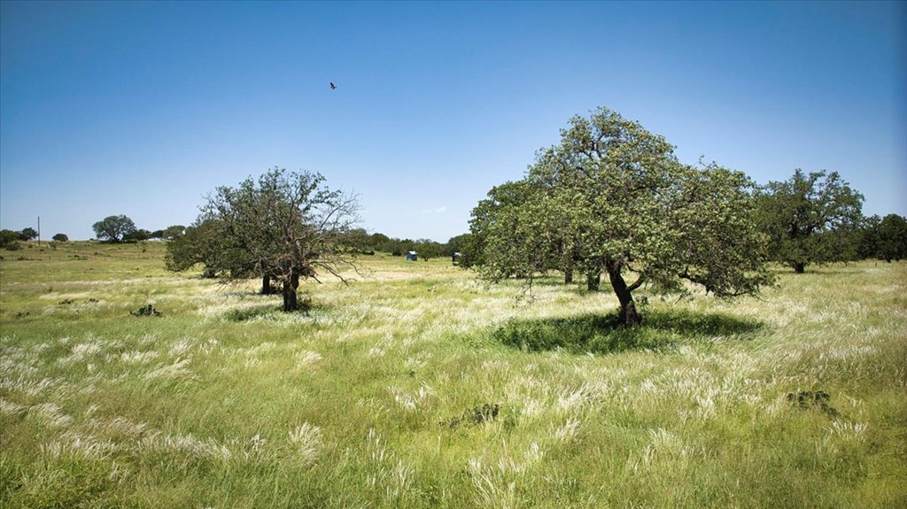 362 Jacoby Lane Hext, TX 76848 - Photo 18 of 36 a view of a yard with a house