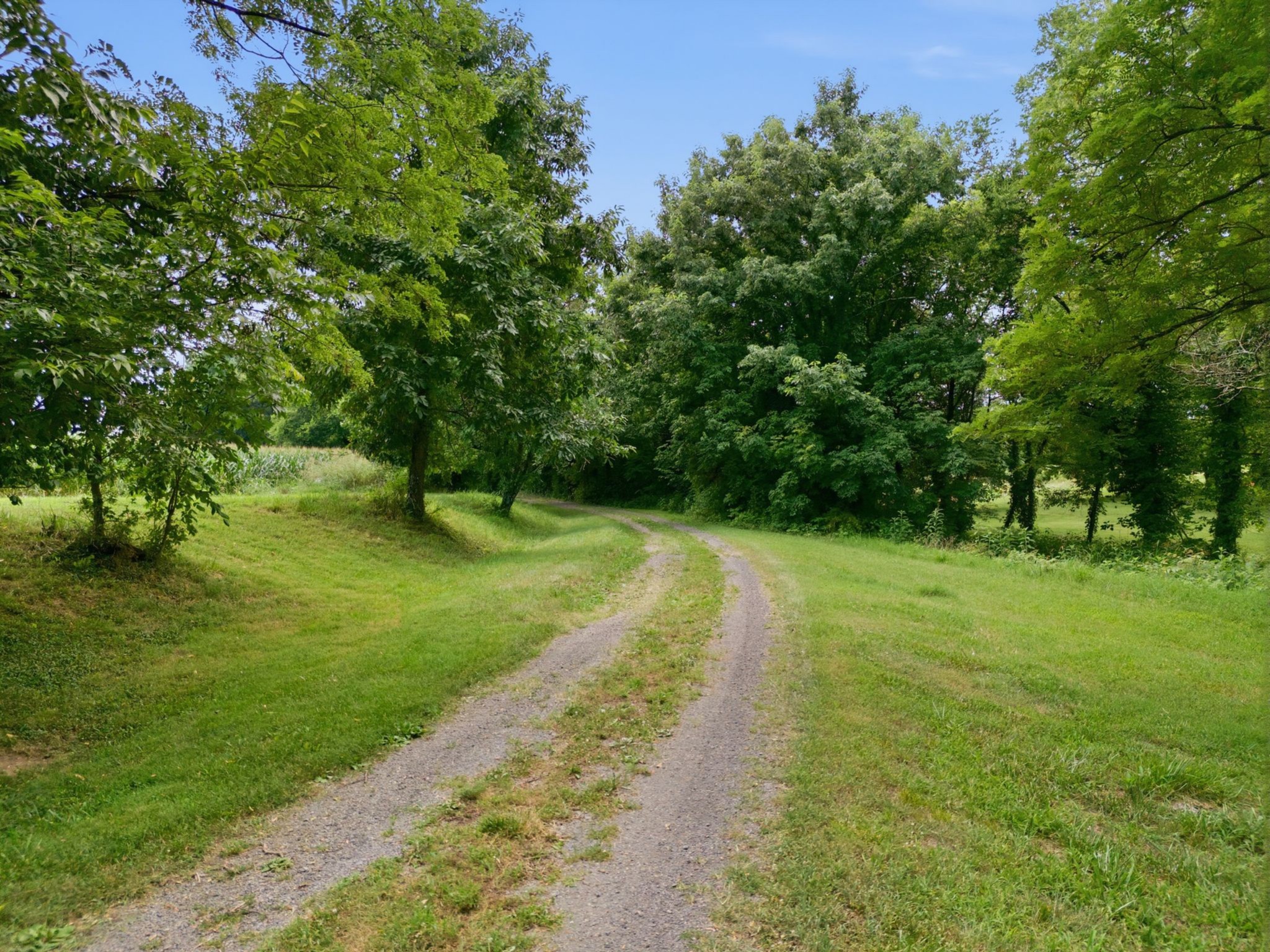 145 Crenshaw Road Bethpage, TN 37022 - Photo 7 of 34 a view of a pathway with a yard