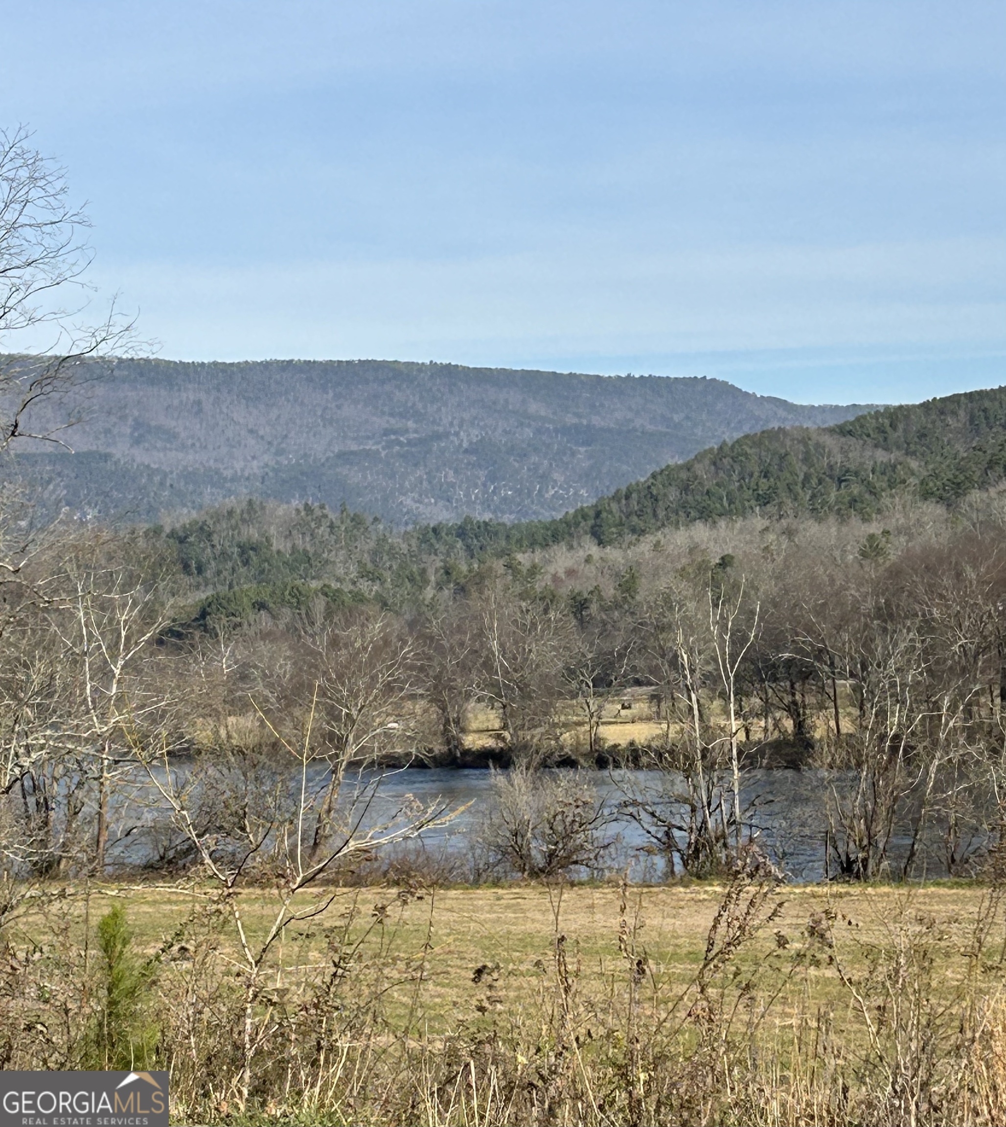a view of a yard with mountains in the background