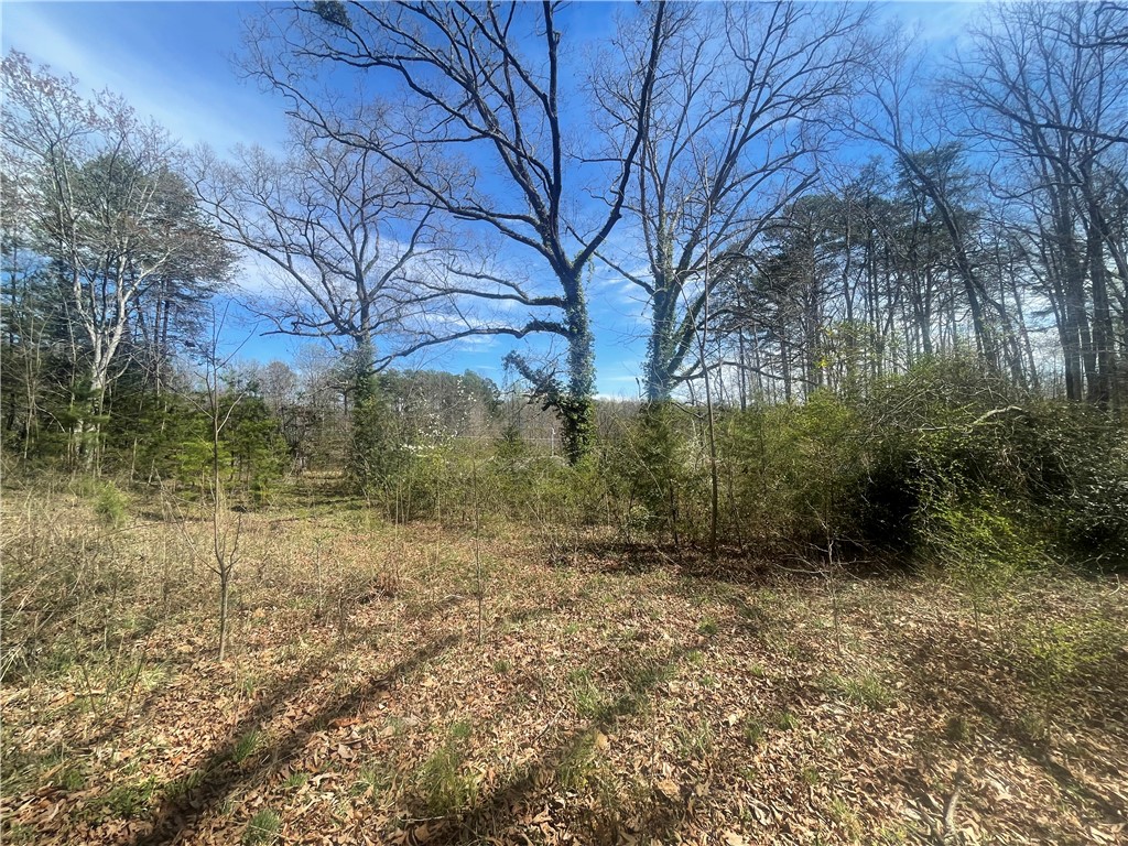0 Charlie Mitchell Road Walhalla, SC 29691 - Photo 1 of 8