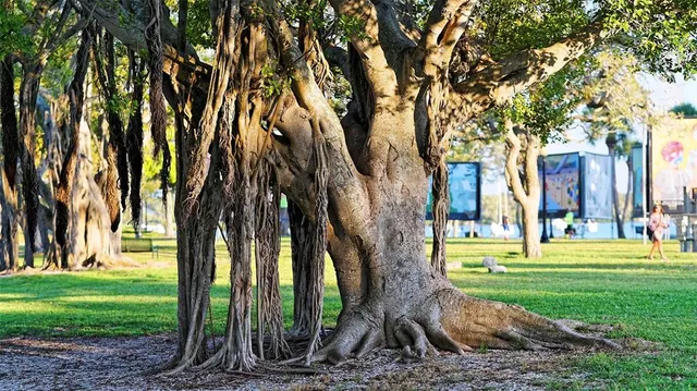 $1,499,000 | 213 Cosmopolitan Court, Sarasota, FL 34236