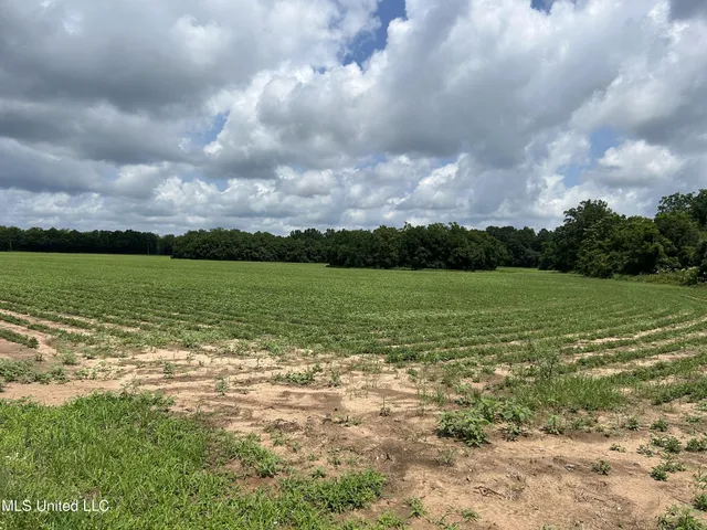 $336,000 | 28-acres Harmon Pope Road, Lucedale, MS 39452