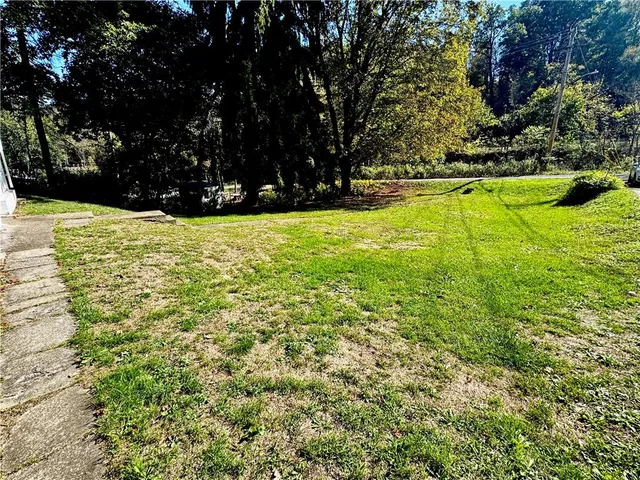 a view of yard with large trees