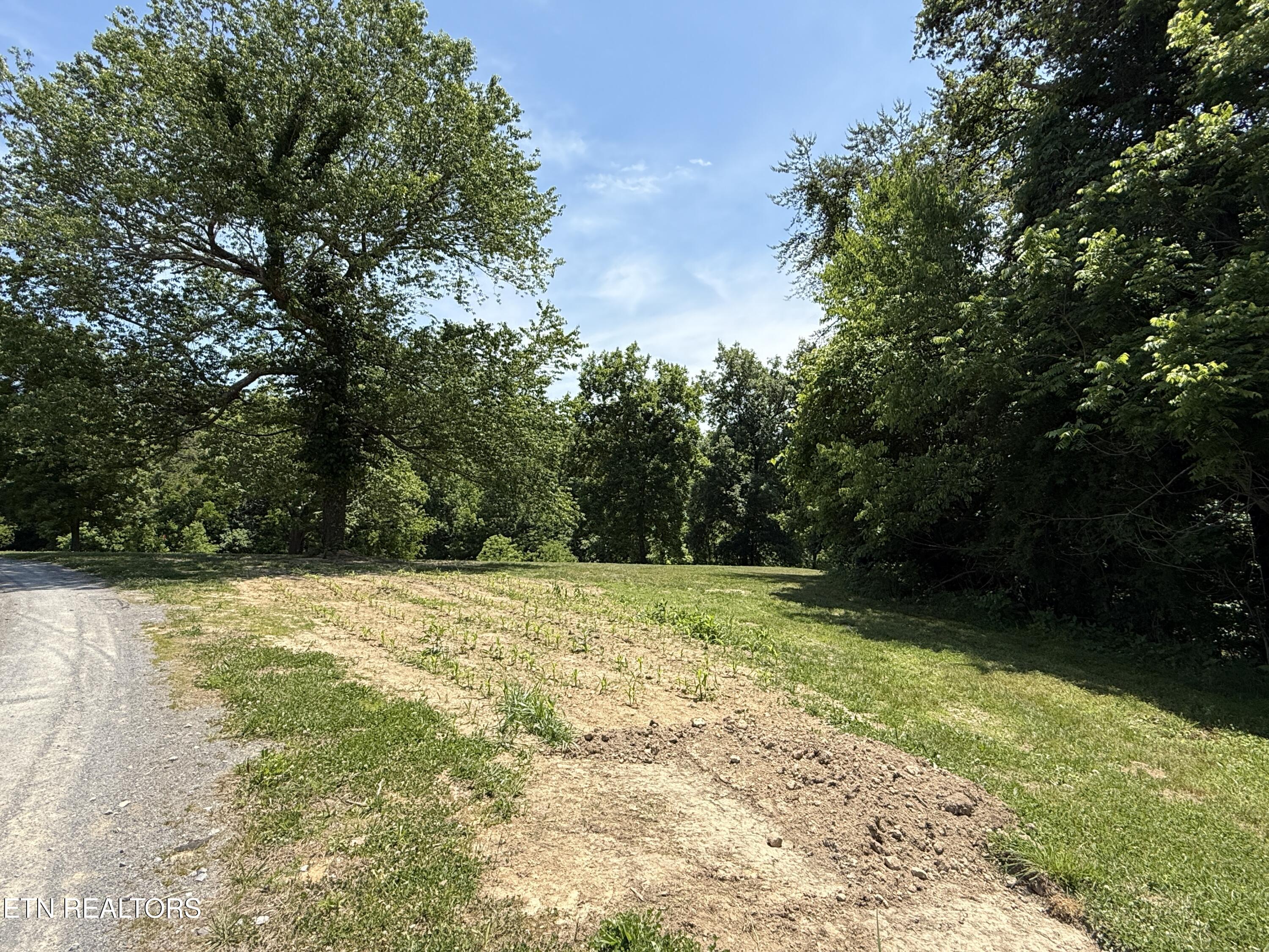 Richland Road Blaine, TN 37709 - Photo 12 of 25 IMG_5456