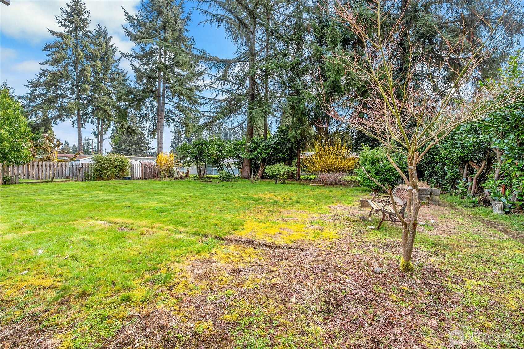424 Ranger Drive Southeast Lacey, WA 98503 - Photo 31 of 36 Gallery Image 31