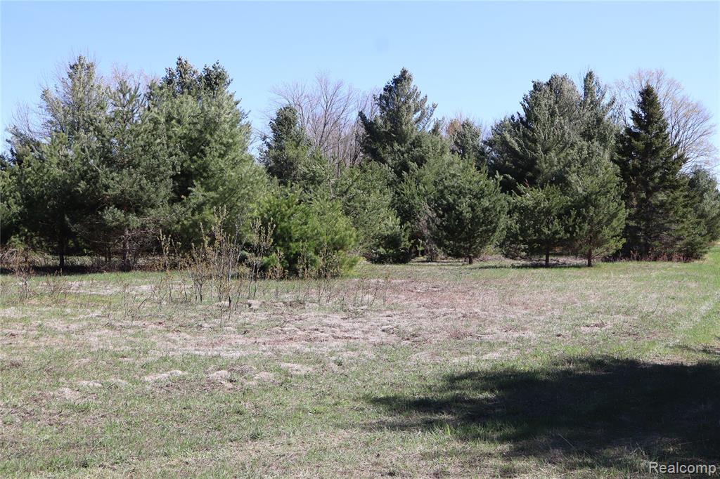 5575 East 26 Mile Road Pickford, MI 49774 - Photo 27 of 36