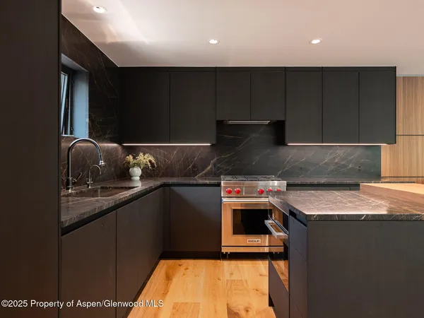 $200,000 | 624 East Hopkins Avenue, Aspen, CO 81611