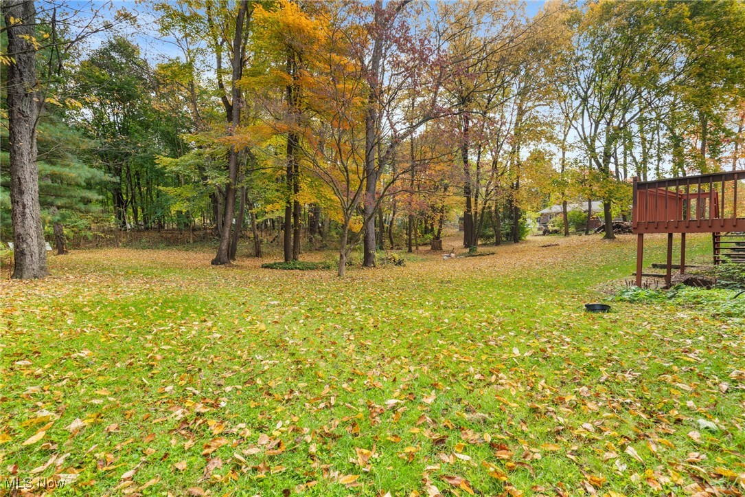 4057 Etter Road Mogadore, OH 44260 - Photo 40 of 41 View of yard