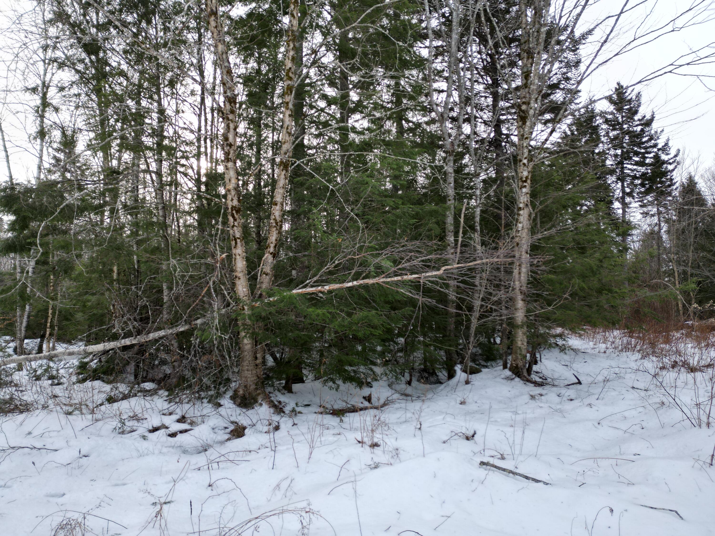 2-1 Osgood Road Carroll Plt, ME 04487 - Photo 4 of 11 DJI_0629