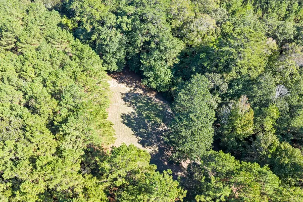 $649,900 | 610 Private Road 5130, Woodville, TX 75979
