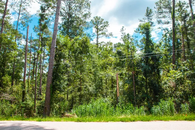 $95,000 | Lot 6 Furey Drive, Clarks Hill, SC 29821