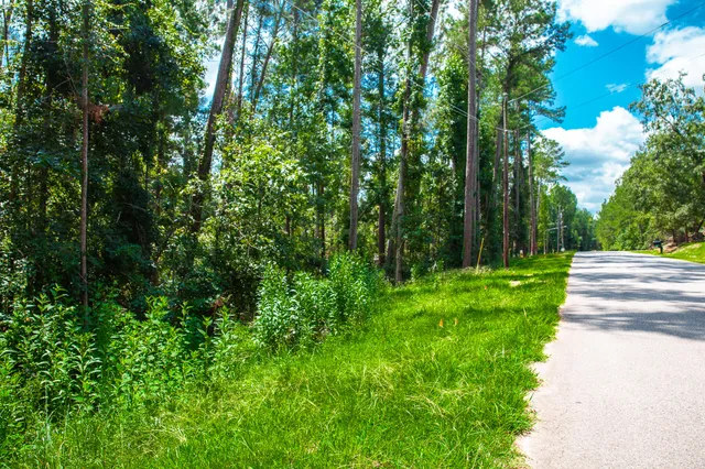 $95,000 | Lot 6 Furey Drive, Clarks Hill, SC 29821