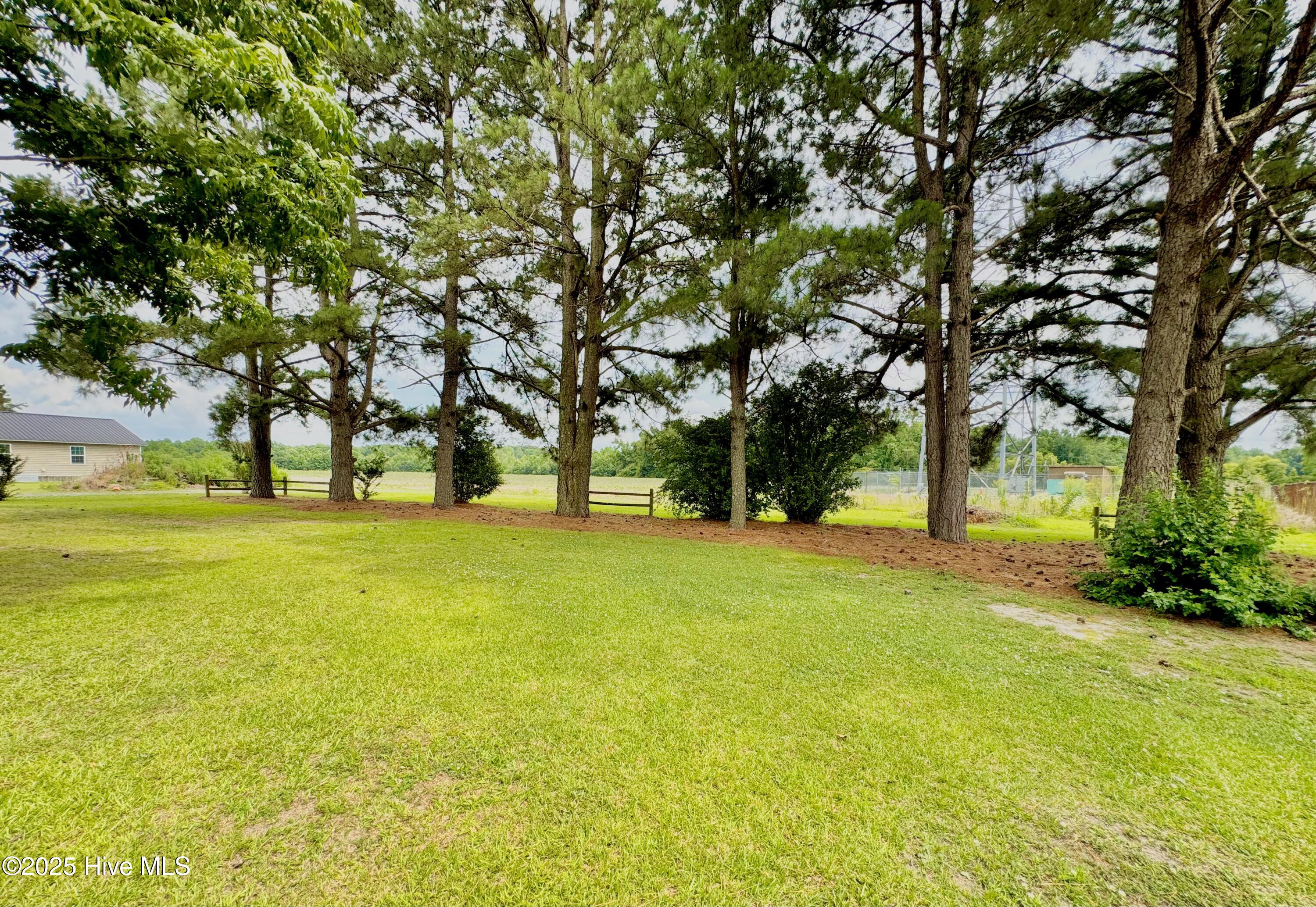 1803 Liddell Road Deep Run, NC 28525 - Photo 56 of 77 IMG_2849