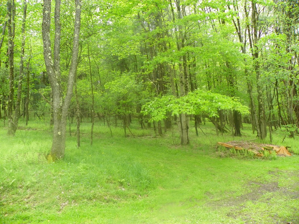 1417 Poland Hill Road Pleasantville, PA 16341 - Photo 3 of 28