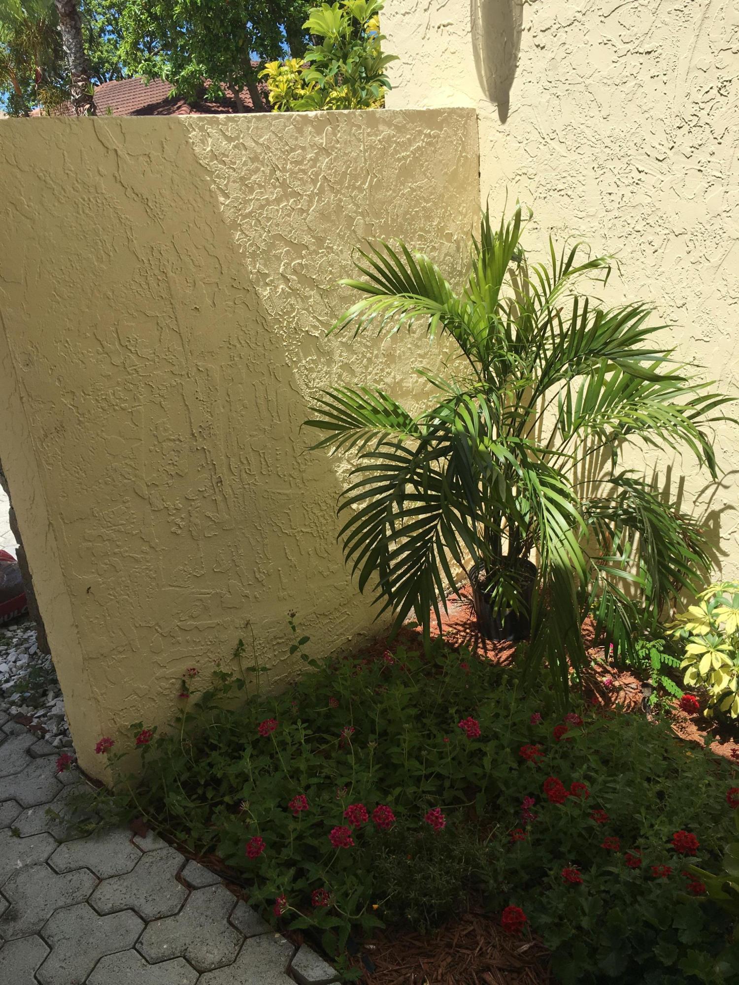 7440 Champagne Place Boca Raton, FL 33433 - Photo 25 of 25 Front Garden