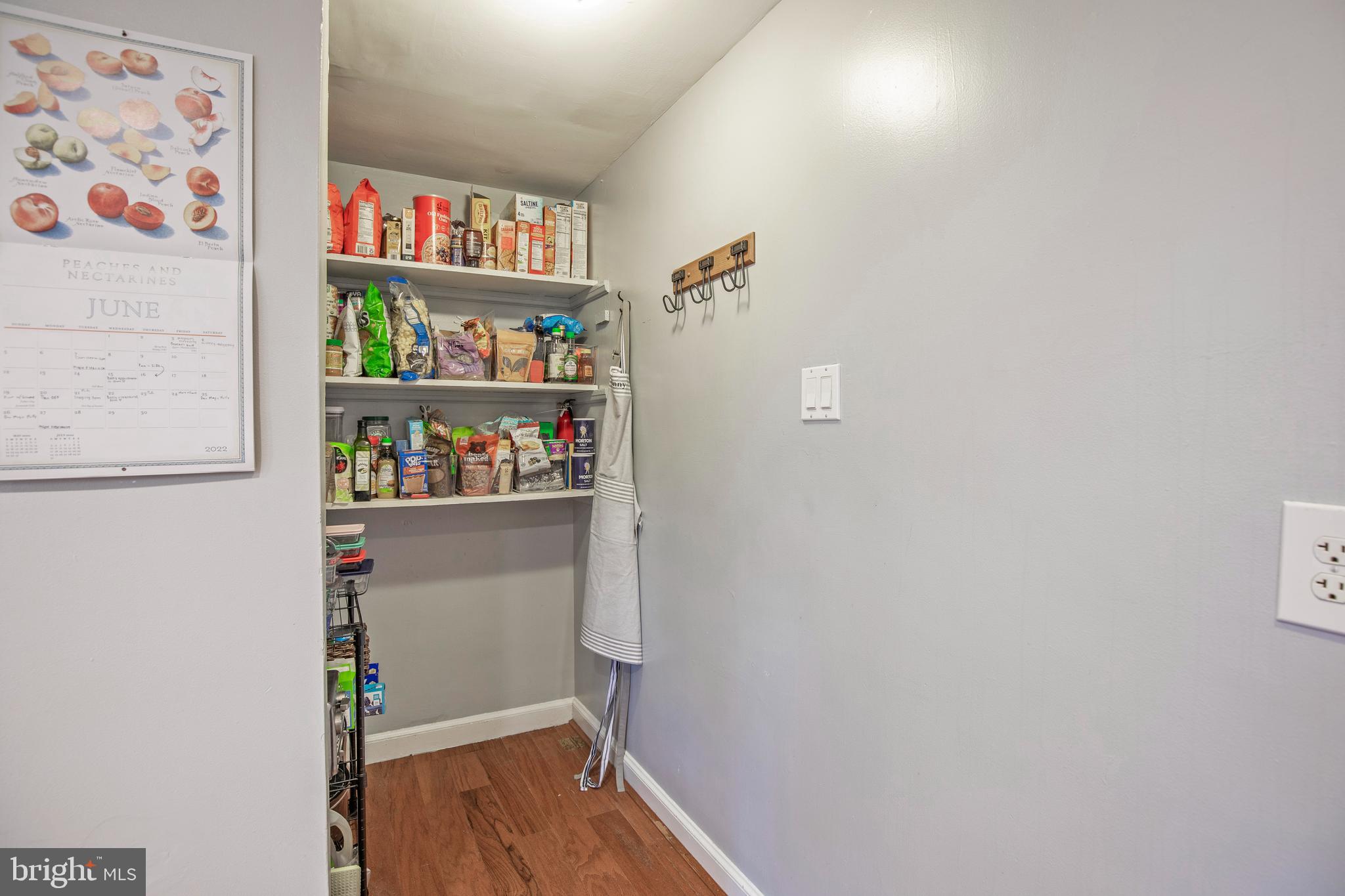 736 Cottage Road Glenside, PA 19038 - Photo 8 of 23 Pantry