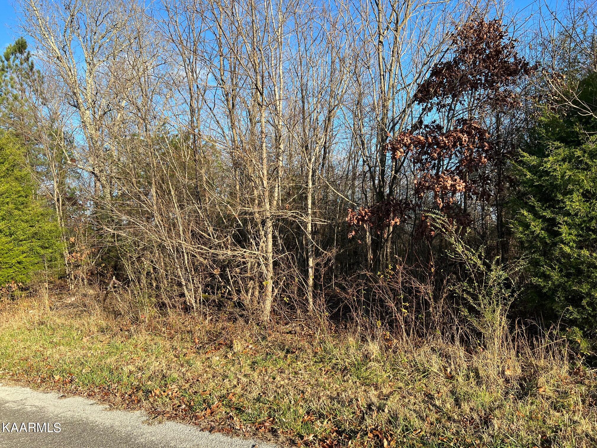 Heck Road Decatur, TN 37322 - Photo 2 of 4 IMG_1015