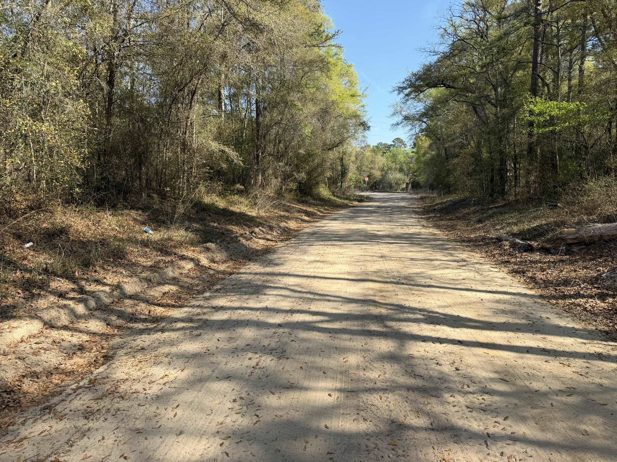 Lot 1 Amos Road Georgetown, SC 29440 - Photo 13 of 15