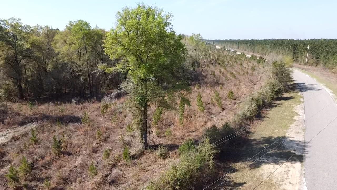 Lot 1 Amos Road Georgetown, SC 29440 - Photo 2 of 15