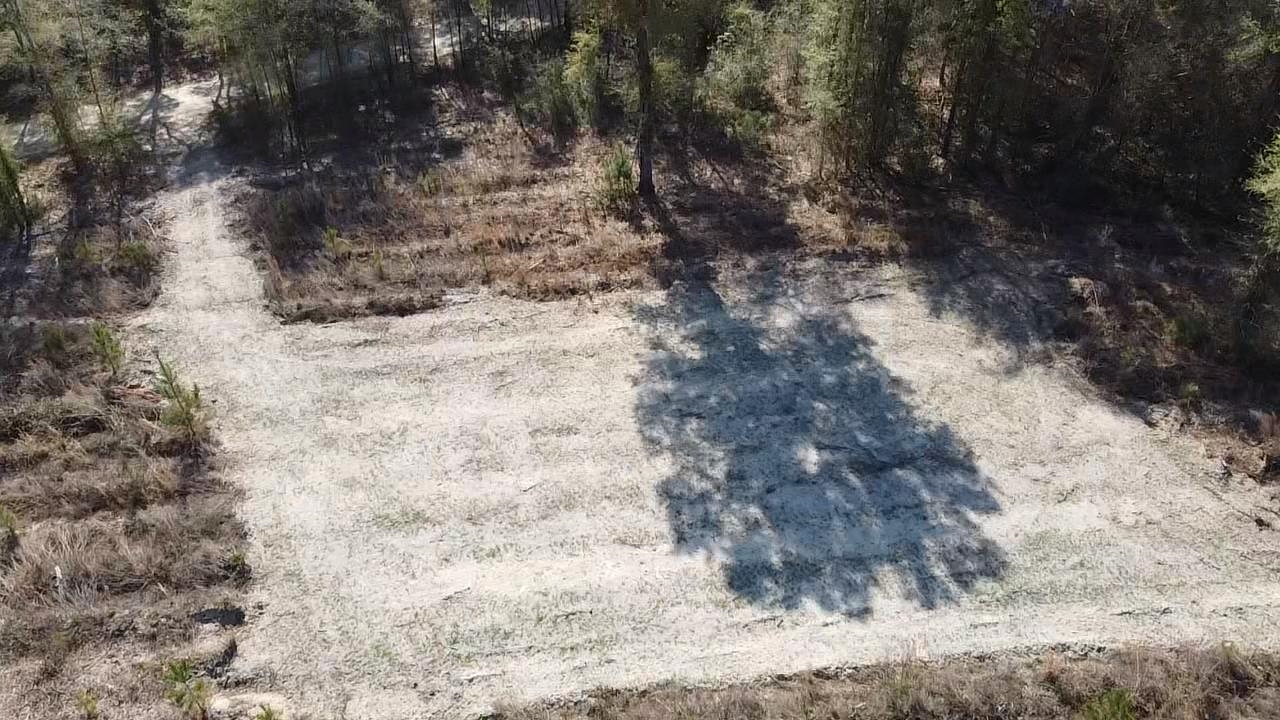 Lot 1 Amos Road Georgetown, SC 29440 - Photo 4 of 15