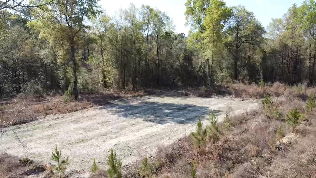 Lot 1 Amos Road Georgetown, SC 29440 - Photo 5 of 15