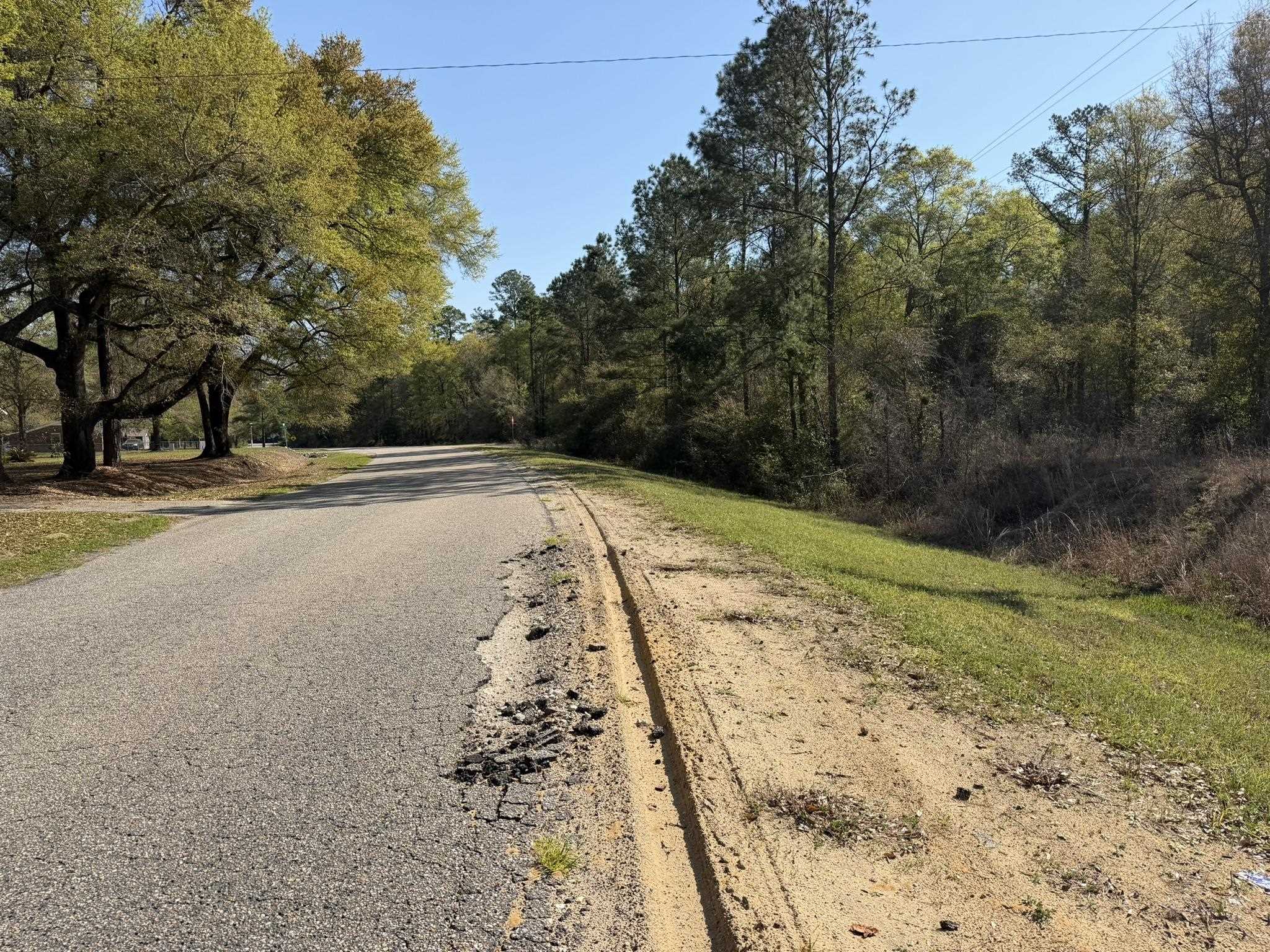 Lot 1 Amos Road Georgetown, SC 29440 - Photo 6 of 15