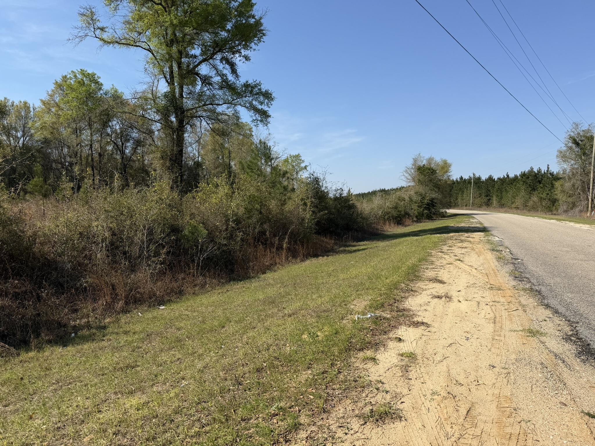 Lot 1 Amos Road Georgetown, SC 29440 - Photo 8 of 15