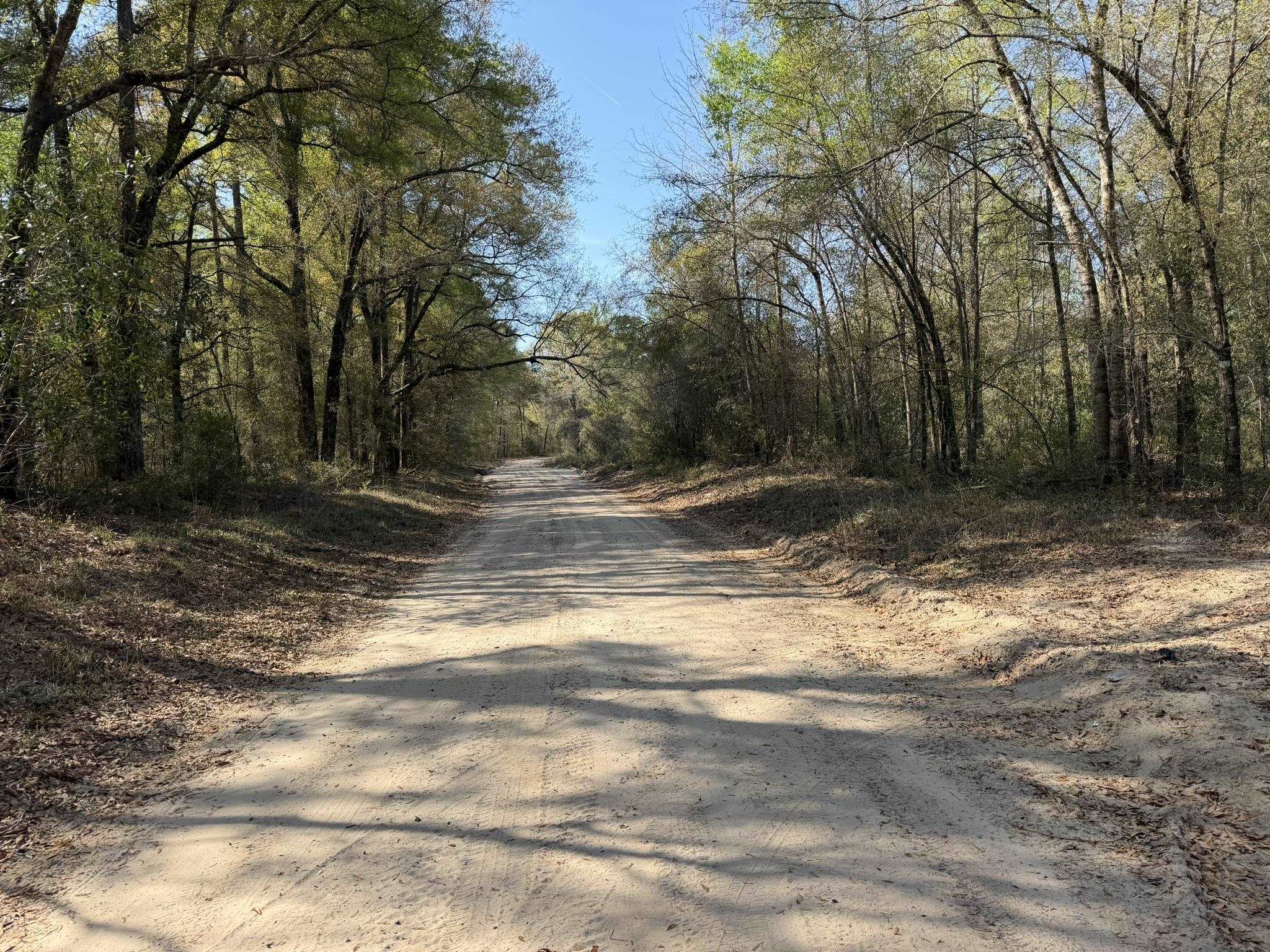 Lot 1 Amos Road Georgetown, SC 29440 - Photo 9 of 15