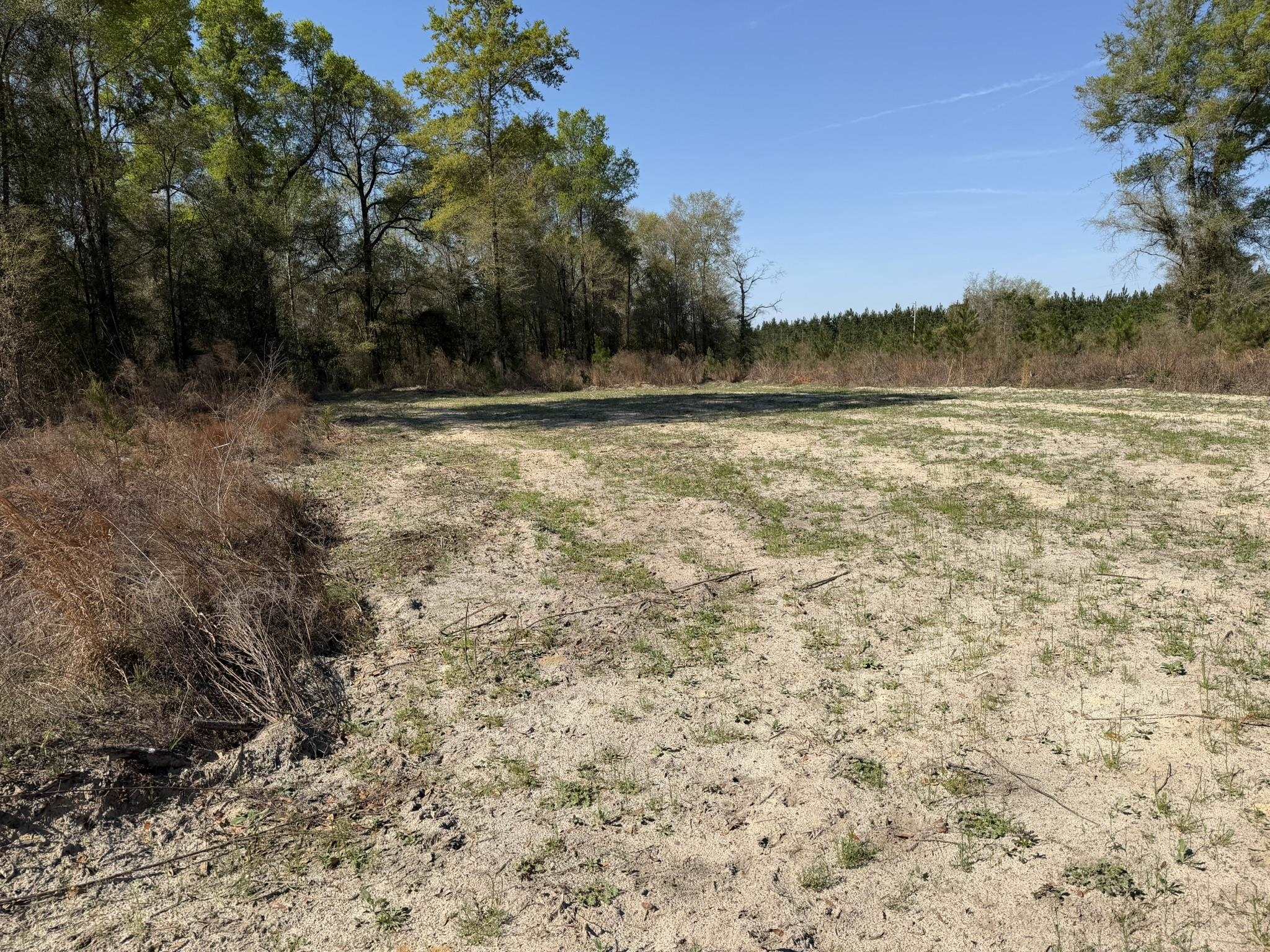 Lot 1 Amos Road Georgetown, SC 29440 - Photo 10 of 15