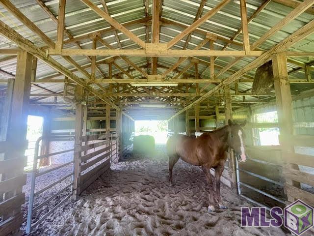 206 Back Project Road Schriever, LA 70395 - Photo 36 of 38