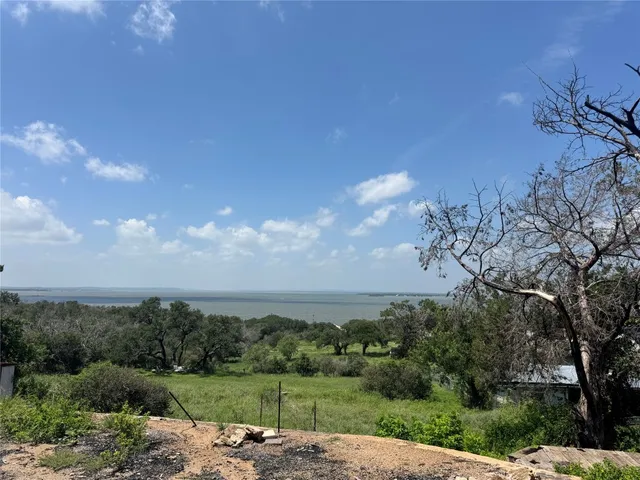 a view of a lake in middle of forest
