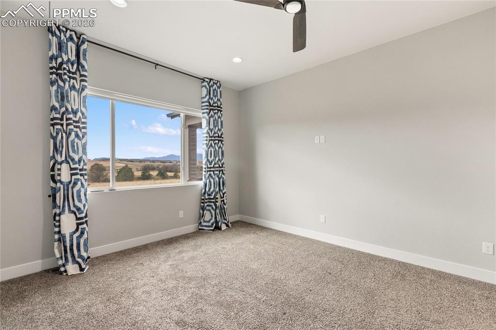 2131 Seaglass Street Colorado Springs, CO 80921 - Photo 19 of 41
