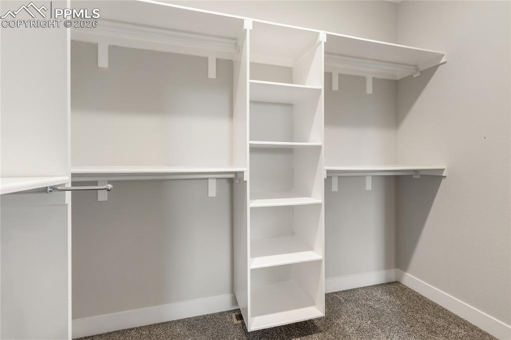2131 Seaglass Street Colorado Springs, CO 80921 - Photo 20 of 41 Walk in Closet with organizers