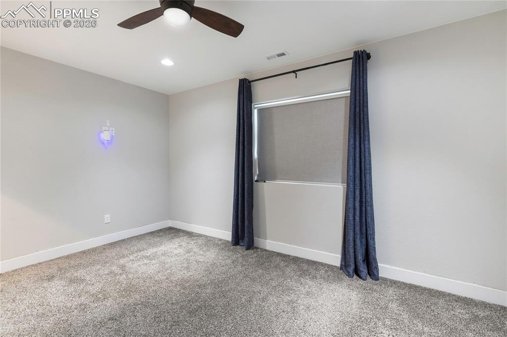 2131 Seaglass Street Colorado Springs, CO 80921 - Photo 28 of 41 Basement Bedroom #3