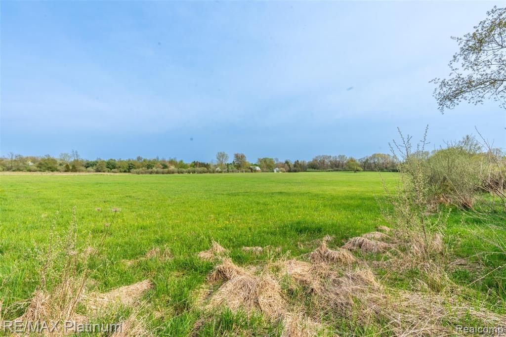 Vl West Schafer Road Pinckney, MI 48169 - Photo 20 of 24 Gallery Image 20