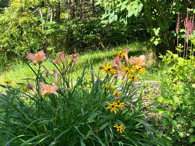 17 Carlisle Road Surry, ME 04684 - Photo 20 of 60 IMG_7244