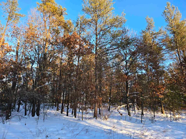 $60,000 | Lot 1 25th, Necedah, WI 54646