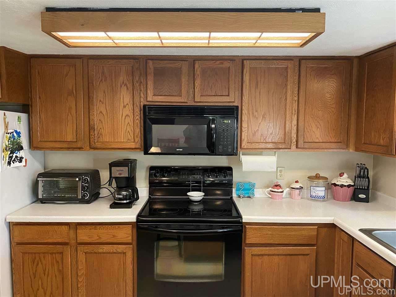 373 Town Hall Road Skandia, MI 49885 - Photo 10 of 47
