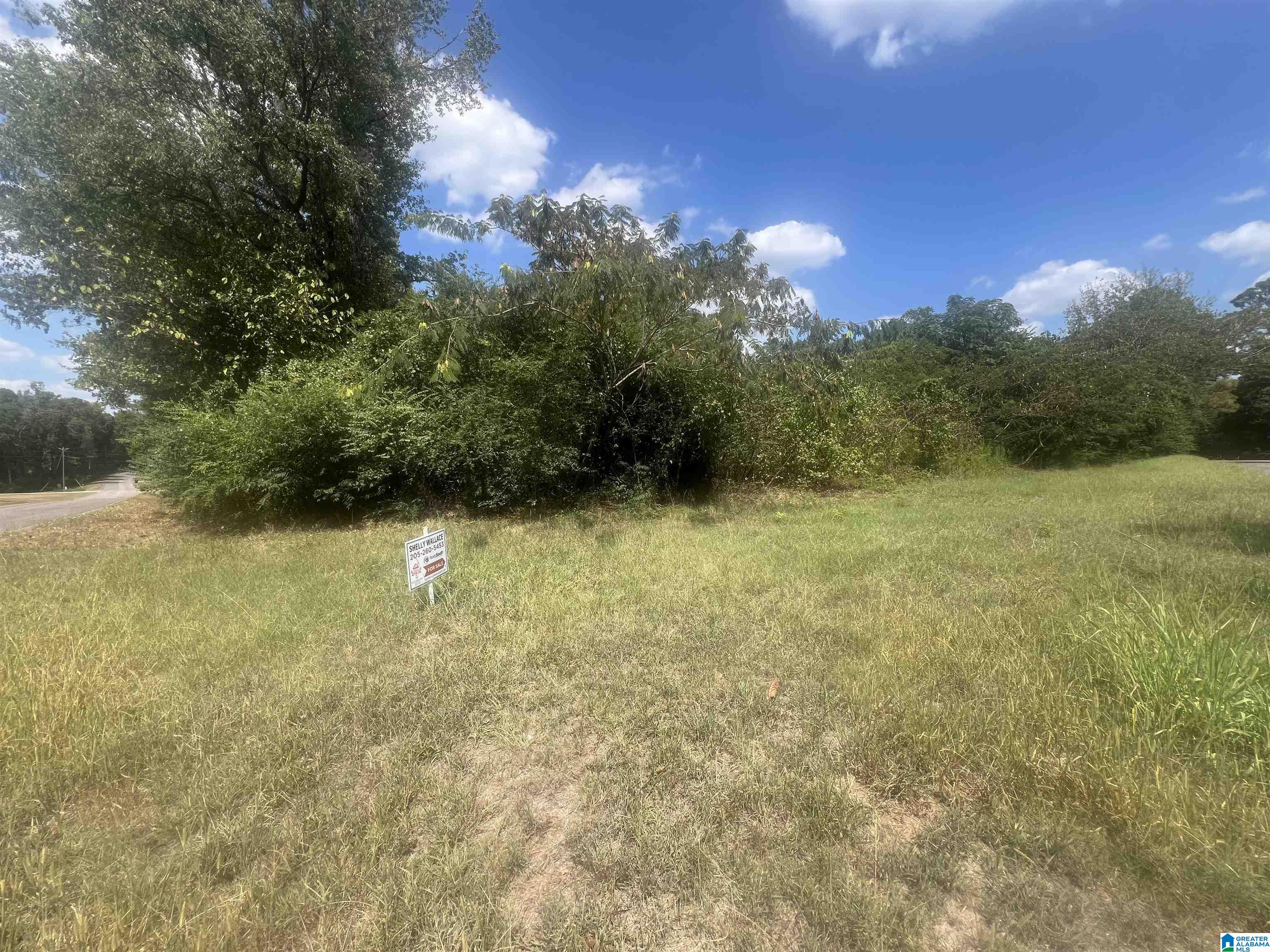 611 Redstone Camp Road Adger, AL 35006 - Photo 4 of 4
