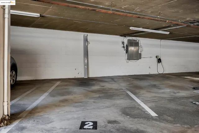 a view of a flower in a garden of flowers