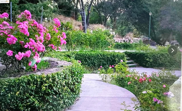 a view of a building with potted plants