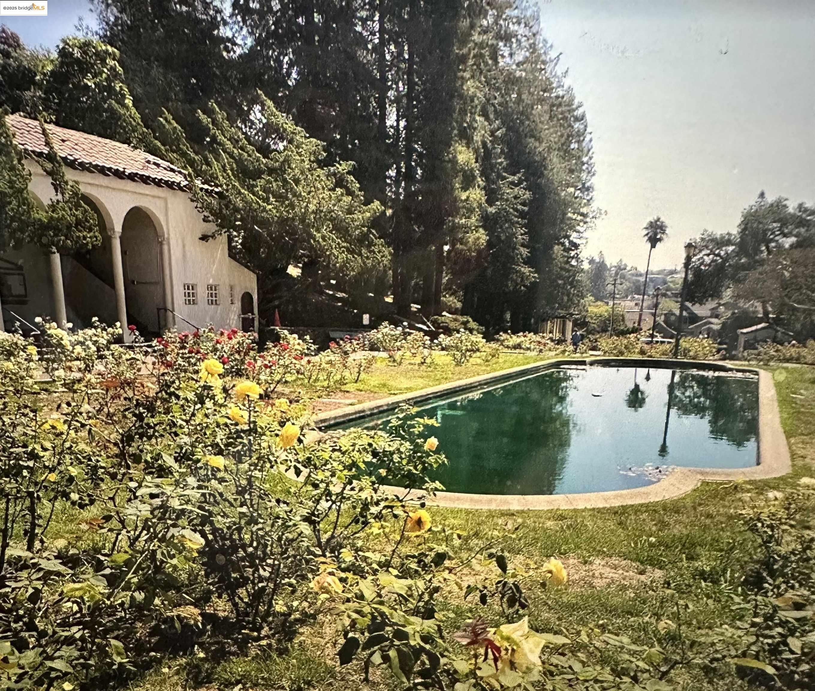 567 Oakland Avenue, Unit 101 Oakland, CA 94611 - Photo 44 of 50