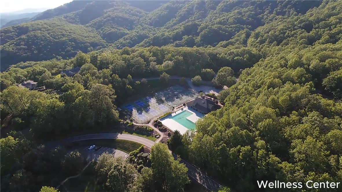 Lot 18 Raven Road Landrum, SC 29356 - Photo 7 of 7 An aerial perspective reveals a luxurious resort-style pool and tennis courts nestled within lush, wooded mountains.