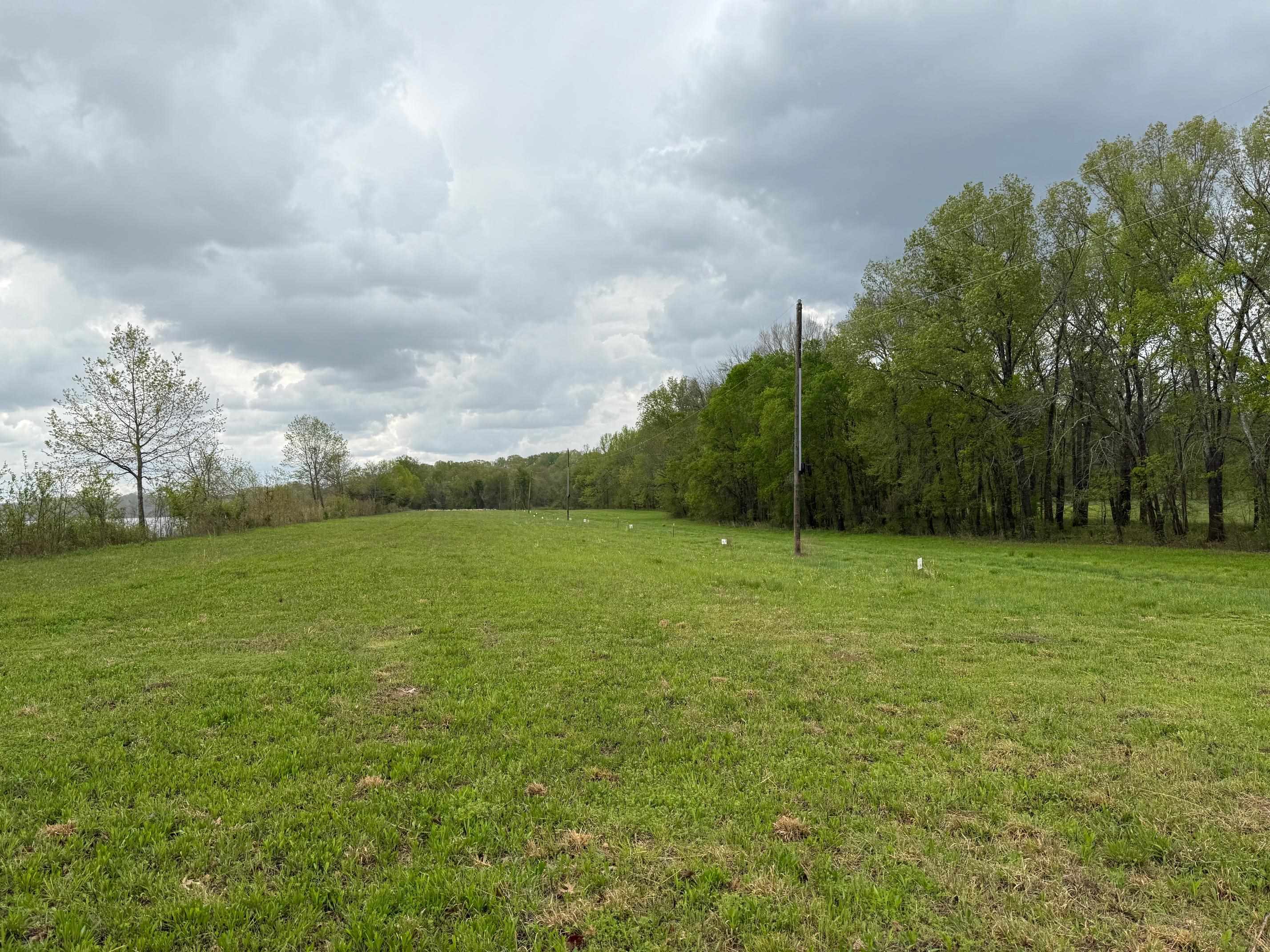 1-12 Chaparral Road Clifton, TN 38425 - Photo 1 of 5 a view of a field with wooden fence