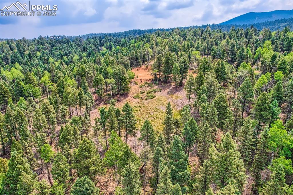 4600 Elk Valley Road Divide, CO 80814 - Photo 12 of 14 a view of a bunch of trees