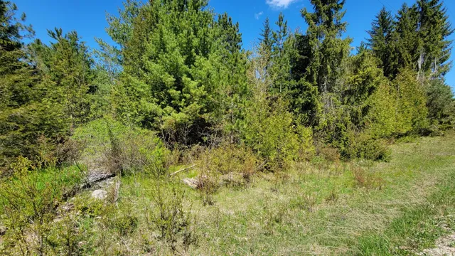 $157,411 | 42 State Highway, Ellison Bay, WI 54210