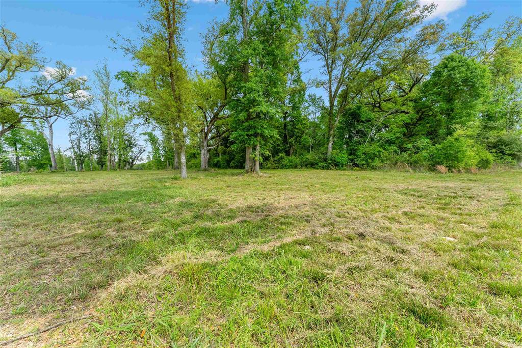 0 1st Pentecostal Church Road Longville, LA 70652 - Photo 8 of 9
