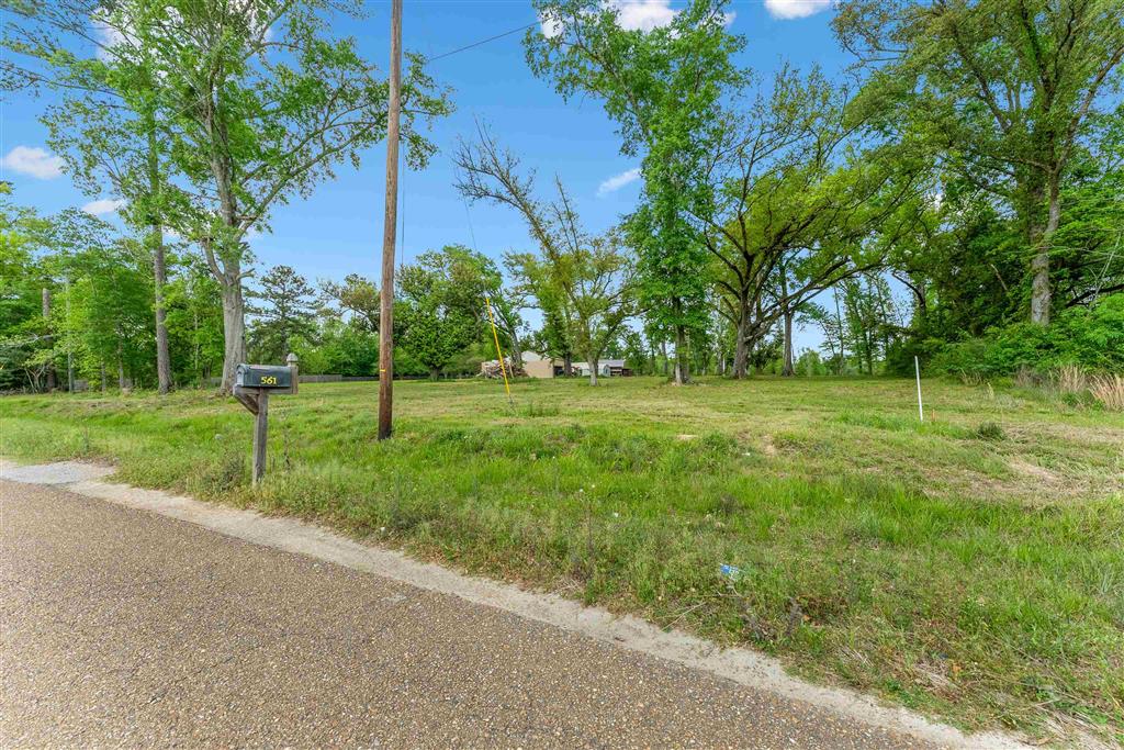 0 1st Pentecostal Church Road Longville, LA 70652 - Photo 9 of 9